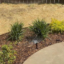 mainGallery-Landscaping 6